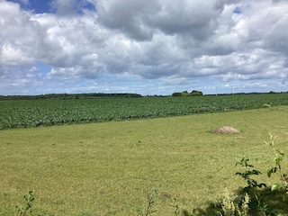 Ferienhaus Maribo Außenaufnahme 6