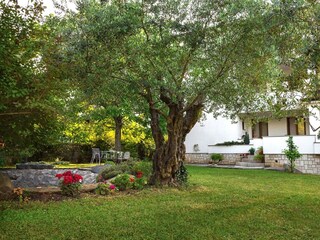 Appartamento Spadici Ambiente 16