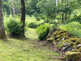 Casa de vacaciones Immeln Grabación al aire libre 10