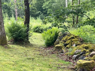 Ferienhaus Immeln Außenaufnahme 4