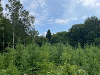 Ferienhaus Immeln Außenaufnahme 6