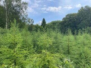 Holiday house Immeln Outdoor Recording 3