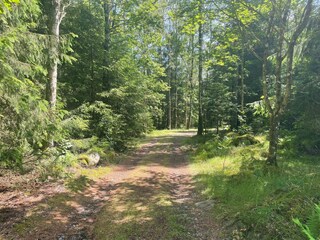 Ferienhaus Varekil Außenaufnahme 8