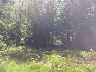 Ferienhaus Varekil Außenaufnahme 5