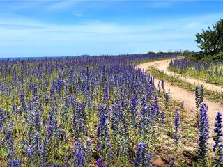 Holiday house Welt  21