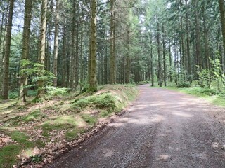 Vakantiehuis Skällinge  7