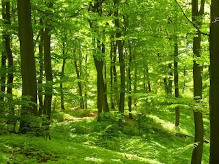 Vakantiehuis Skällinge  13