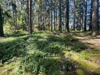 Ferienhaus Varekil  18