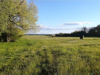 Maison de vacances Juelsminde  15