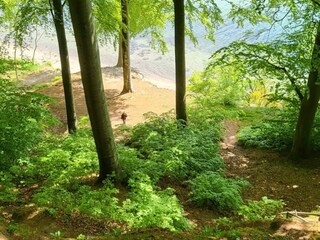 Vakantiehuis Juelsminde  18