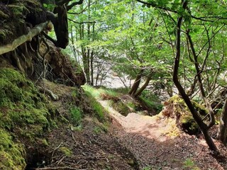 Maison de vacances Juelsminde  5