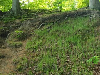 Casa de vacaciones Juelsminde  6