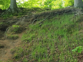 Holiday house Juelsminde  20