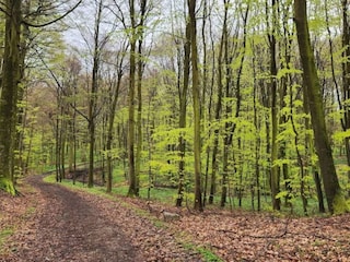 Holiday house Juelsminde  9