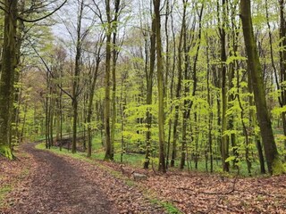 Maison de vacances Juelsminde  9