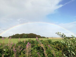 Vakantiehuis Juelsminde  32