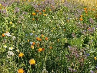 Ferienhaus Juelsminde  33