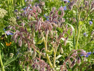 Ferienhaus Juelsminde  23