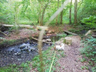 Casa per le vacanze Juelsminde  13