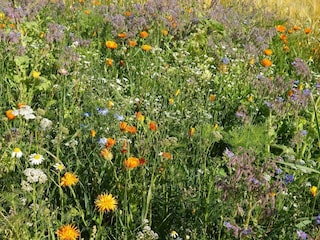 Ferienhaus Juelsminde  33