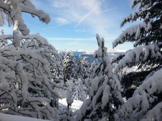 Chalet Chamrousse Buitenaudio-opname 4