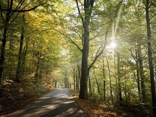 Ferienpark Ästad  10