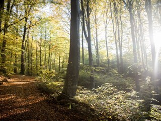 Ferienpark Ästad Außenaufnahme 7
