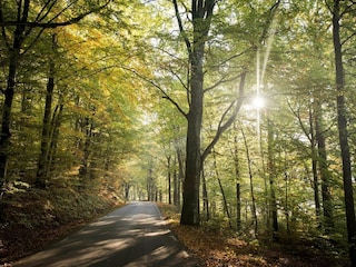 Vakantiepark Ästad  18
