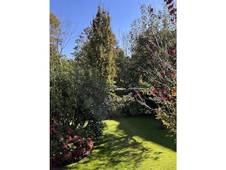 Wunderschöner Garten