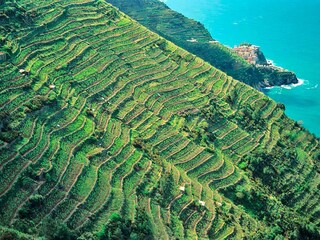 Apartment Vernazza Umgebung 27