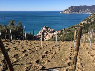 Parco Nazionale delle Cinque Terre