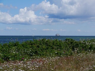 Geltinger Birk-Naturschutzgebiet