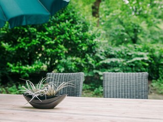 Ferienhaus IJhorst Außenaufnahme 7