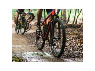 Ferienhaus IJhorst Umgebung 24