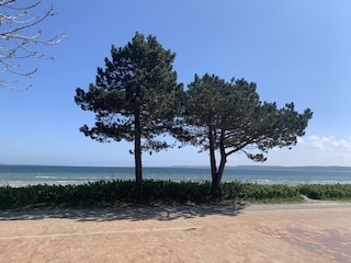 Holnis Strand