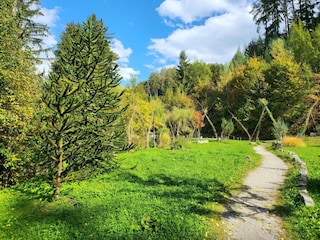 Apartment Schwaz Umgebung 6