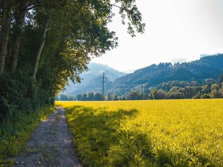 Appartement Schwaz Environnement 10