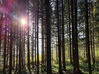 Appartement Schwaz Environnement 17