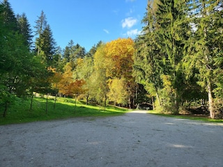 Apartment Schwaz Environment 20