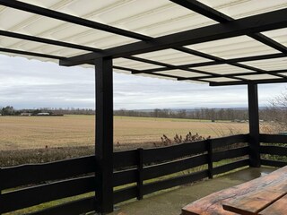 Holiday house Neudorf (Harz) Outdoor Recording 4