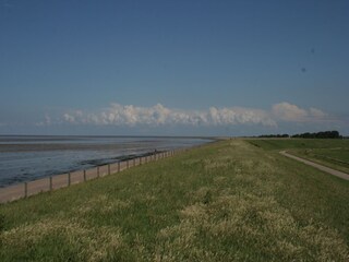 Vakantiepark Wieringen Omgeving 17