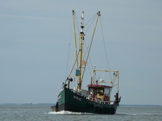 Ferienpark Wieringen Umgebung 21