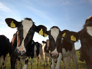 Ferienpark Wieringen  35