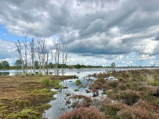 Internationaler Naturpark Bourtanger Moor-Bagerveen