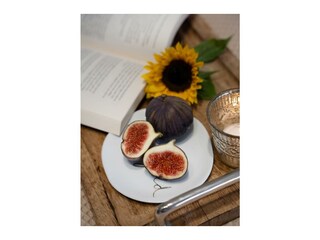 In der Lektüre stöbern