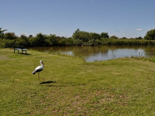 Landschaft
