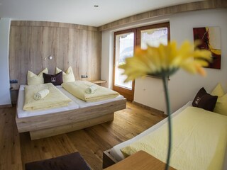 Appartamento Hippach Caratteristiche 11