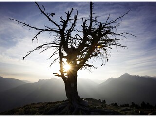 Appartamento Hippach Ambiente 16