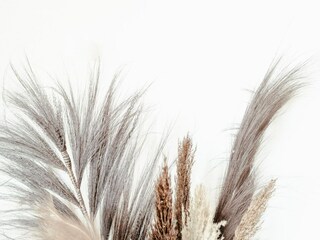 Vakantiehuis Egmond aan Zee  29