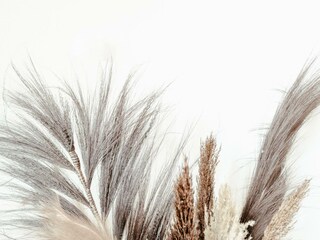 Casa de vacaciones Egmond aan Zee Grabación al aire libre 14